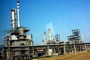 茂名石化攻堅(jiān)克難乙烯產(chǎn)量創(chuàng)新高